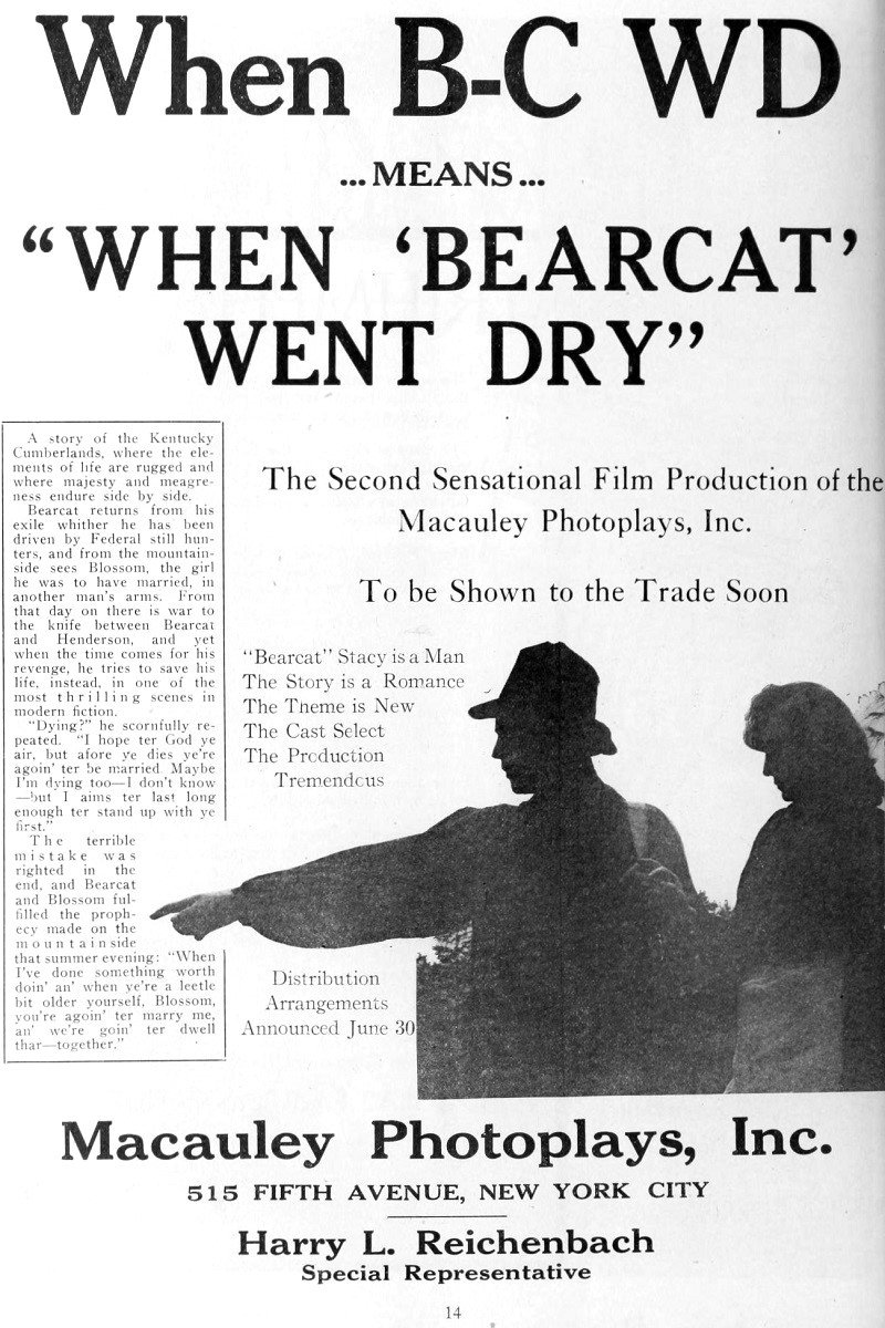 Постер When Bearcat Went Dry
